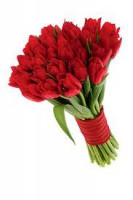 /album/ramos-pulseras-tocados-/ramo-novia-tulipanes-jpg/